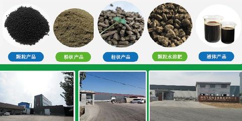 京陽生物致力打造大型純植物源有機肥生產基地，引領綠色農業新風尚