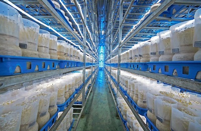 福建省首家農業產業研究院落戶廈門翔安 專注生物有機肥料研發助力綠色農業