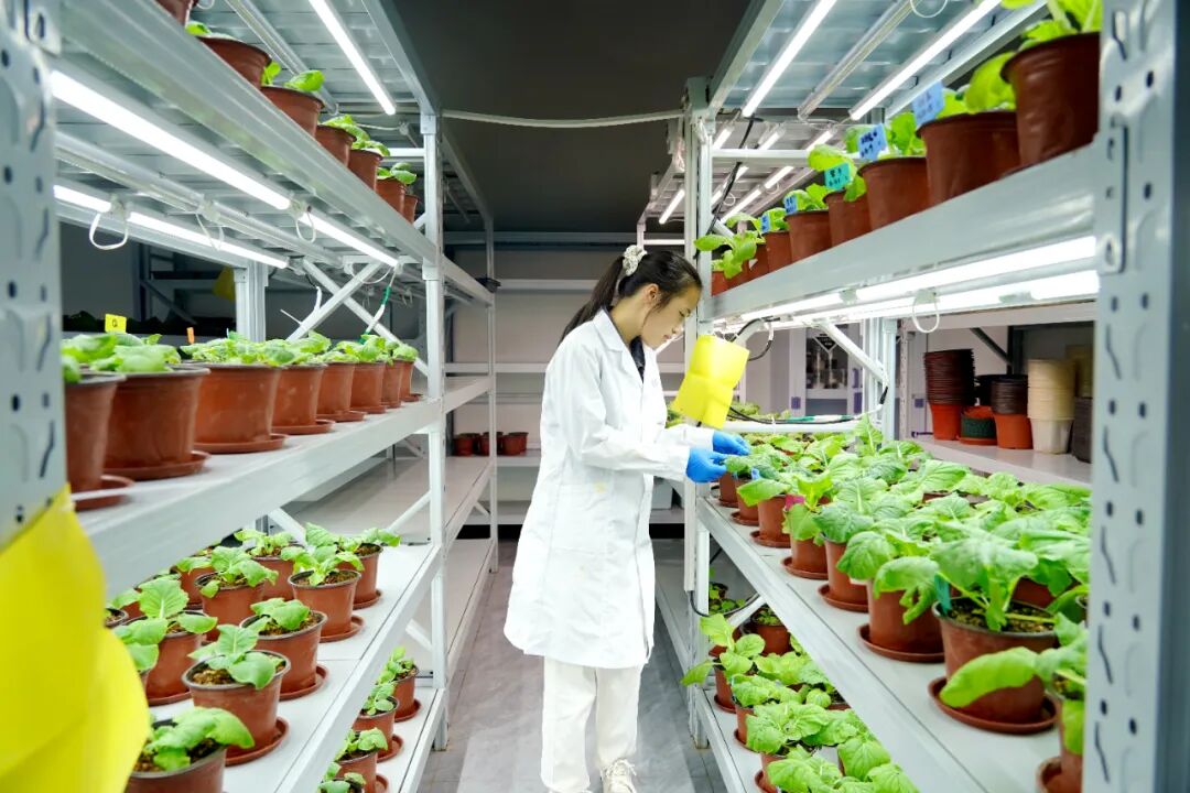 港北區 循環產業鏈賦能，打造有機無機‘糖蜜肥’生物有機肥新篇章