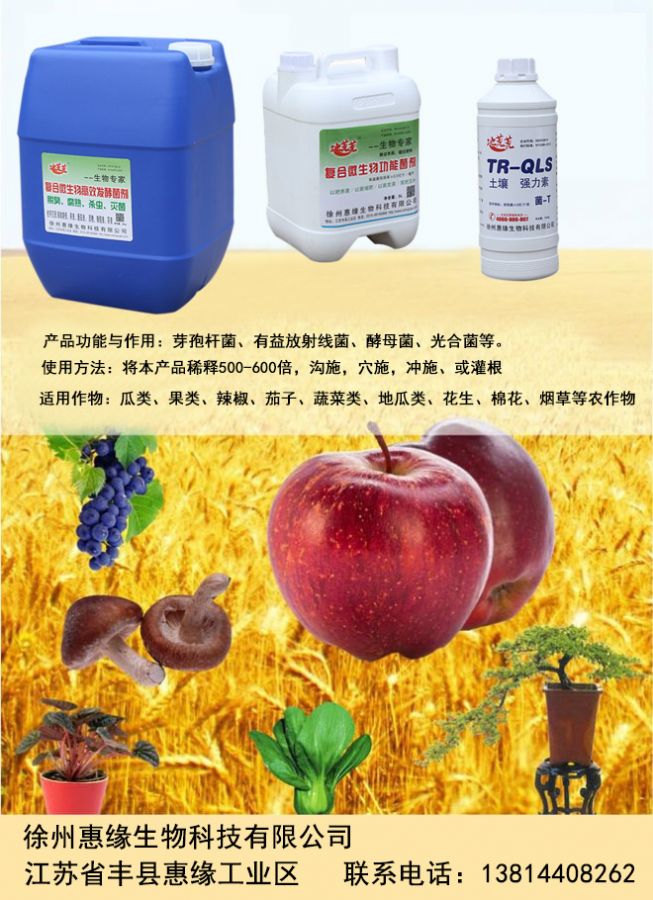 綠色農(nóng)業(yè)的引擎 生物技術(shù)與新型肥料研發(fā)推廣的路徑與展望